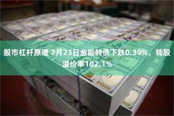 股市杠杆原理 7月23日金能转债下跌0.39%，转股溢价率102.1%