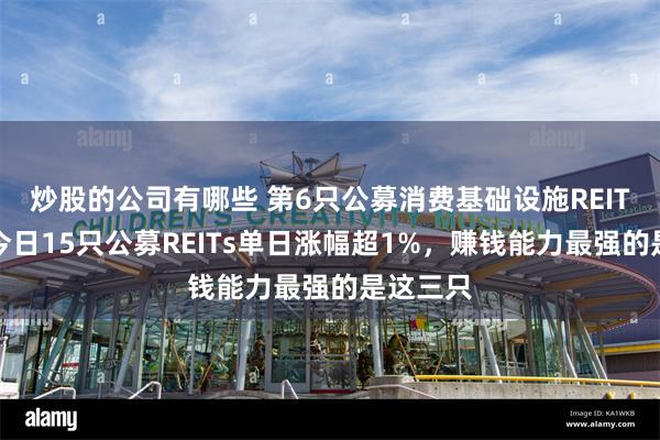 炒股的公司有哪些 第6只公募消费基础设施REIT来了！今日15只公募REITs单日涨幅超1%，赚钱能力最强的是这三只