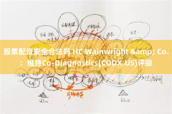 股票配资安全合法吗 HC Wainwright & Co.：维持Co-Diagnostics(CODX.US)评级