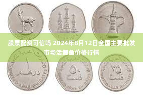 股票配资可信吗 2024年8月12日全国主要批发市场活鲤鱼价格行情