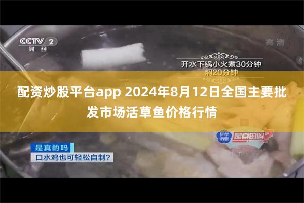 配资炒股平台app 2024年8月12日全国主要批发市场活草鱼价格行情