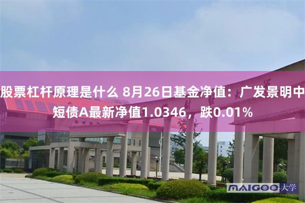 股票杠杆原理是什么 8月26日基金净值：广发景明中短债A最新净值1.0346，跌0.01%