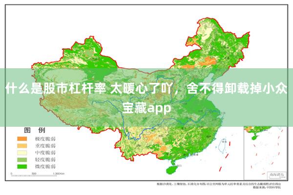 什么是股市杠杆率 太暖心了吖，舍不得卸载掉小众宝藏app