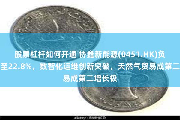 股票杠杆如何开通 协鑫新能源(0451.HK)负债率降至22.8%，数智化运维创新突破，天然气贸易成第二增长极