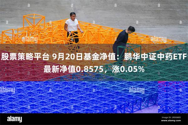 股票策略平台 9月20日基金净值：鹏华中证中药ETF最新净值0.8575，涨0.05%