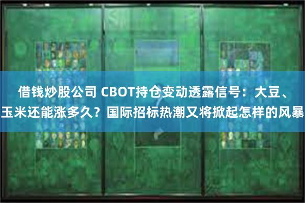 借钱炒股公司 CBOT持仓变动透露信号：大豆、玉米还能涨多久？国际招标热潮又将掀起怎样的风暴