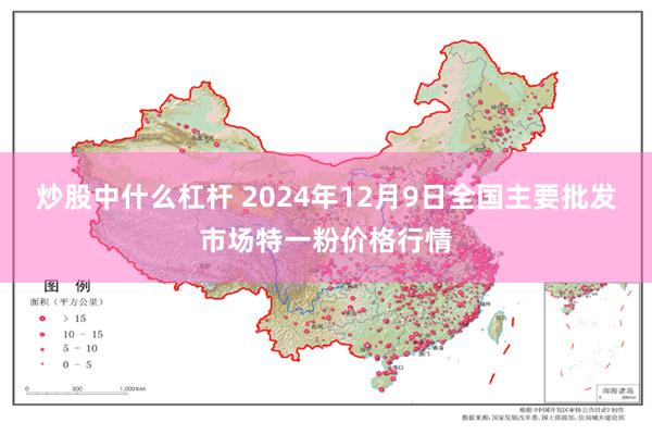 炒股中什么杠杆 2024年12月9日全国主要批发市场特一粉价格行情